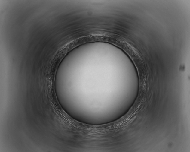 X0000100850821200806200800