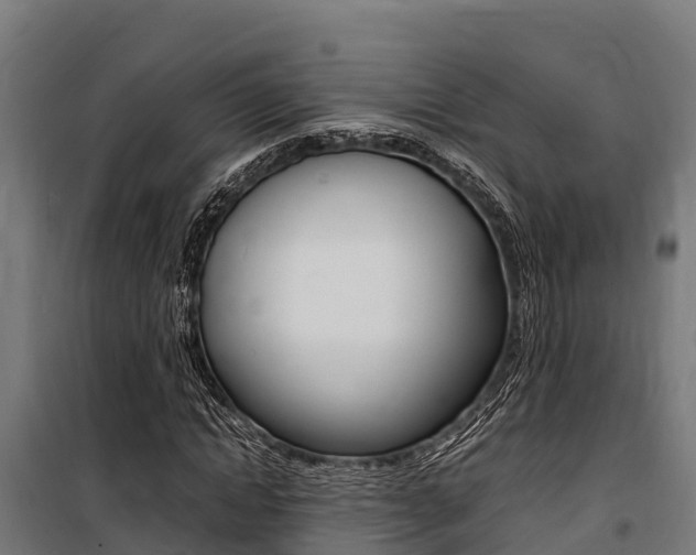 X0000100850822200806200800