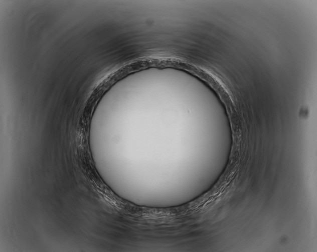 X0000100850823200806200800