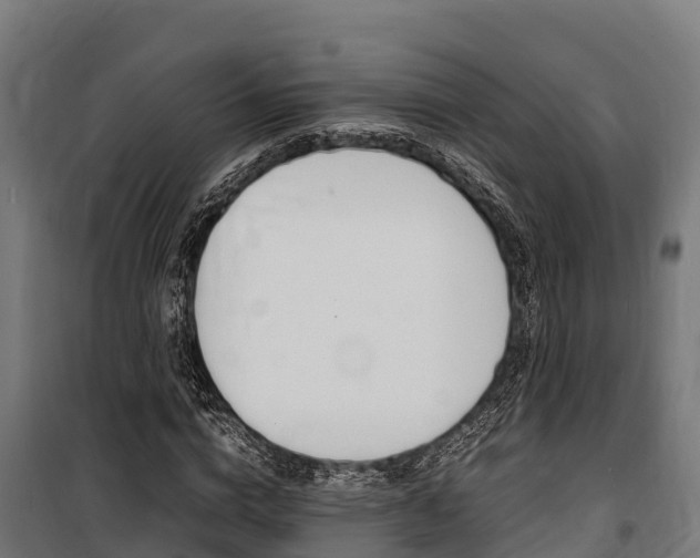 X0000100850824200806200800