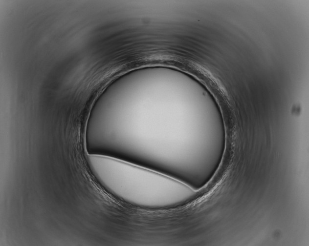 X0000100850825200806200800