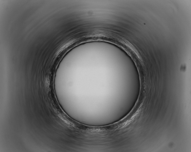X0000100850826200806200800