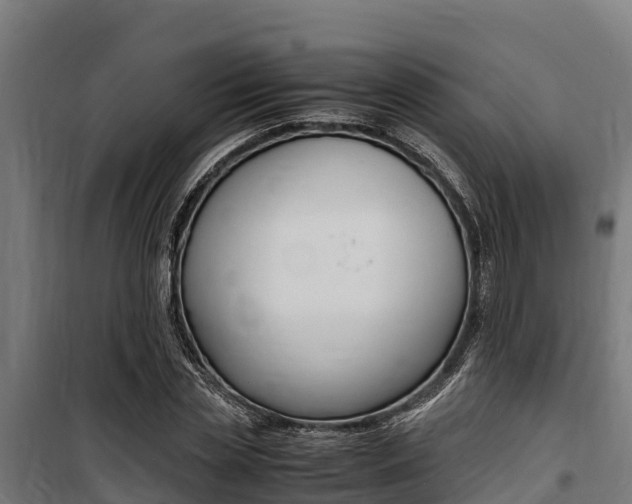 X0000100850829200806200800