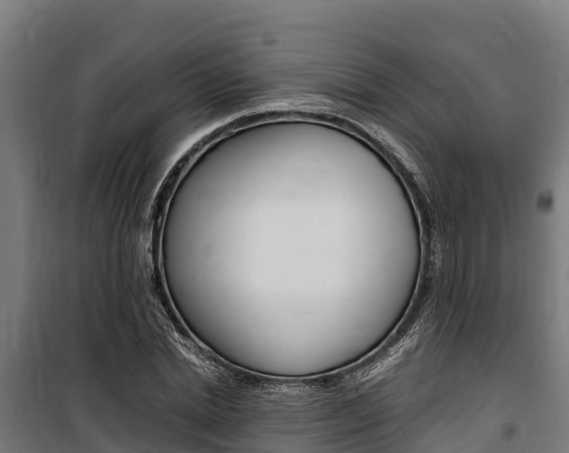 X0000100850830200806200800