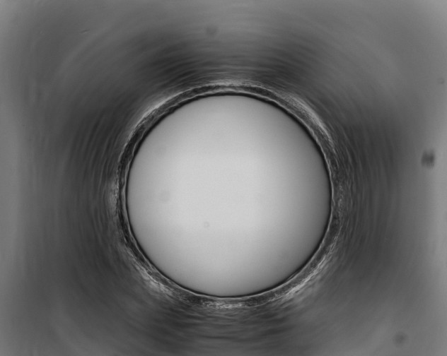 X0000100850831200806200800