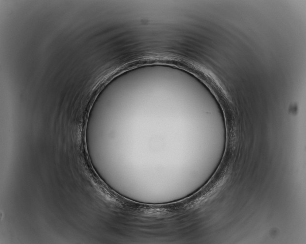 X0000100850833200806200800