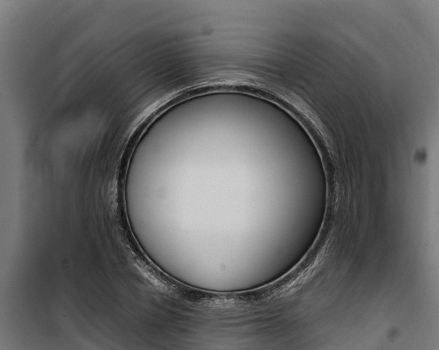 X0000100850834200806200800