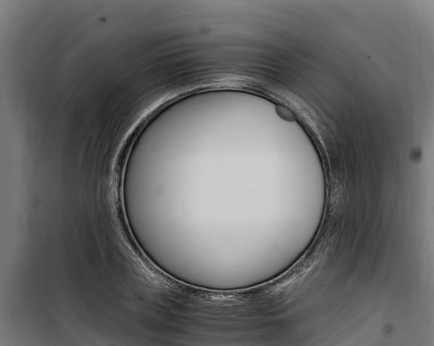 X0000100850835200806200800