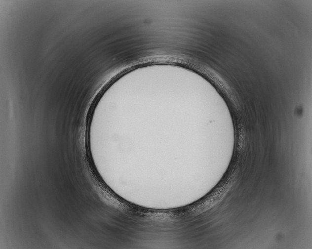 X0000100850836200806200800