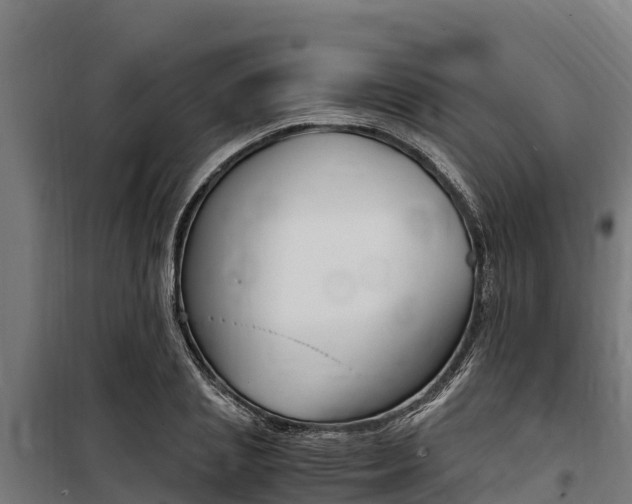 X0000100850837200806200800