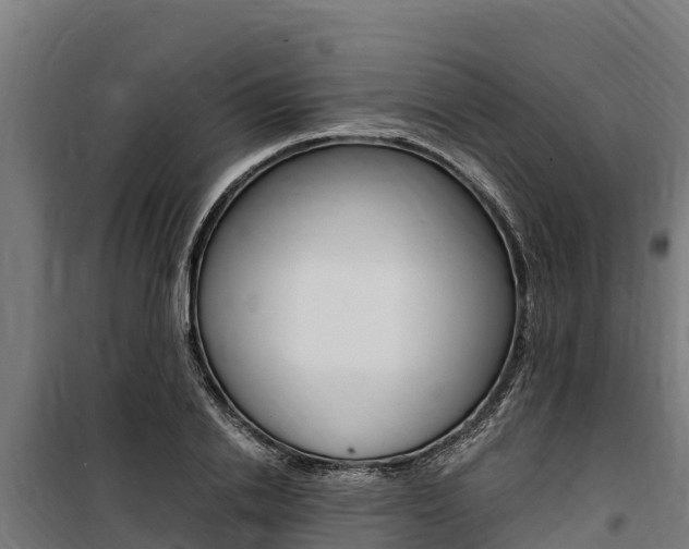 X0000100850838200806200800