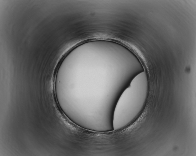 X0000100850839200806200800
