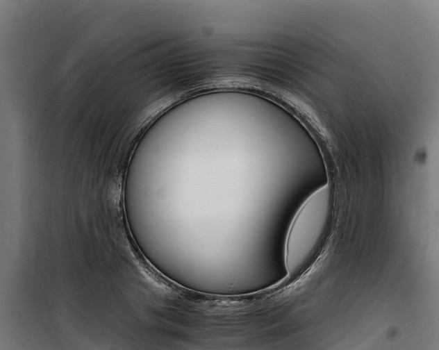 X0000100850841200806200800