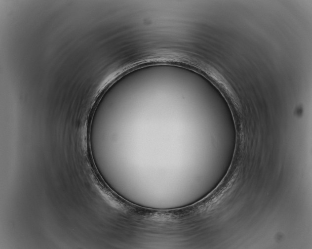 X0000100850842200806200800