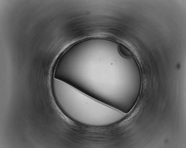 X0000100850843200806200800
