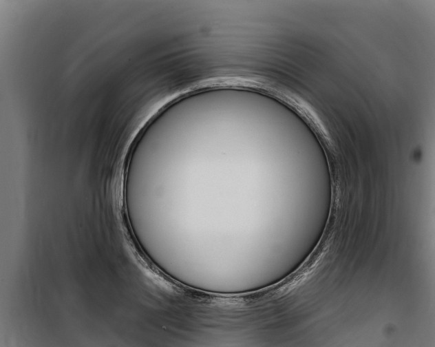 X0000100850844200806200800