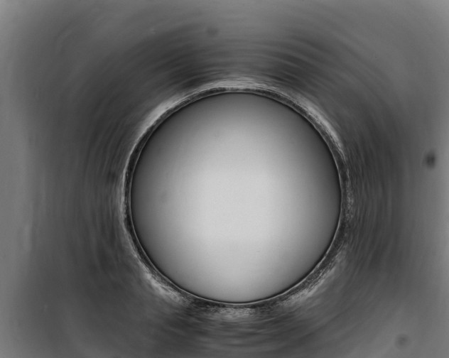 X0000100850845200806200800