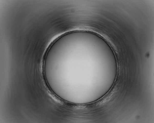 X0000100850846200806200800