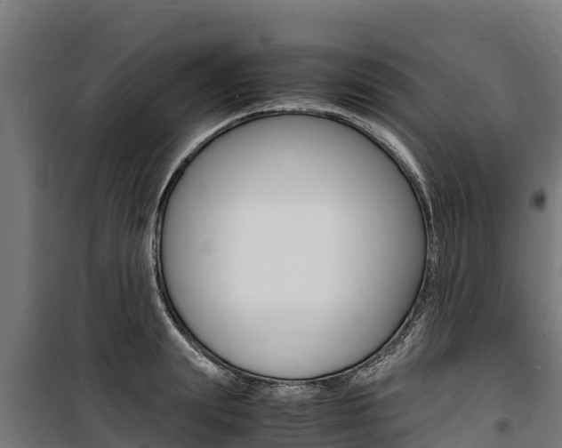 X0000100850847200806200800