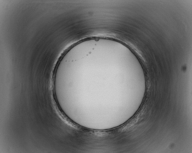 X0000100850848200806200800