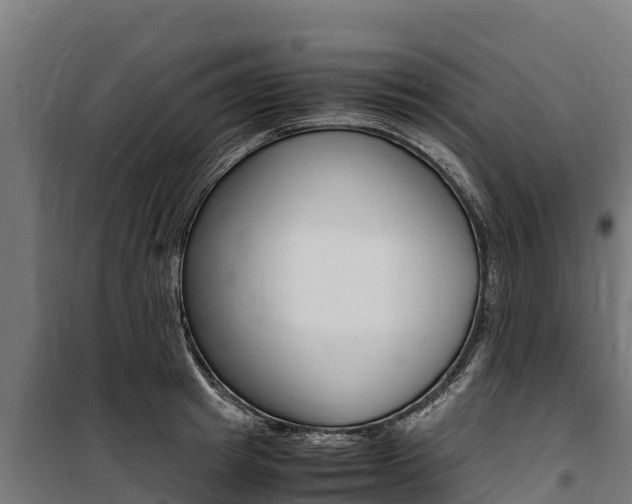 X0000100850849200806200800