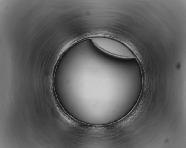 X0000100850850200806200800