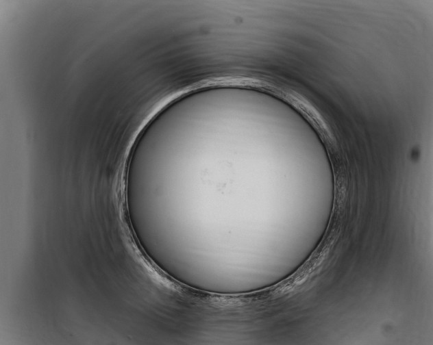 X0000100850852200806200800