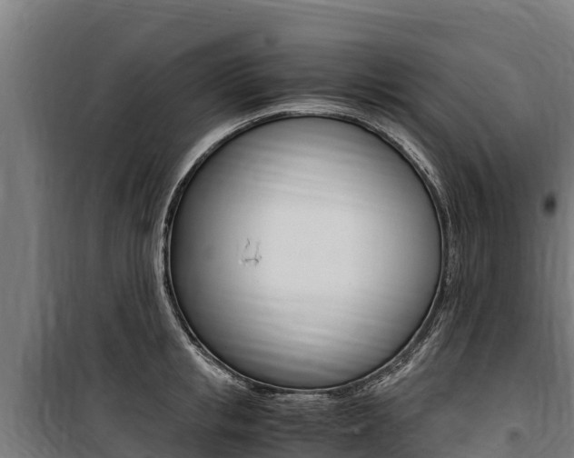 X0000100850853200806200800