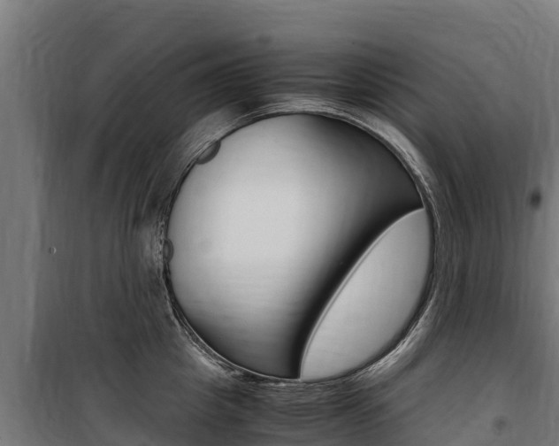 X0000100850857200806200800