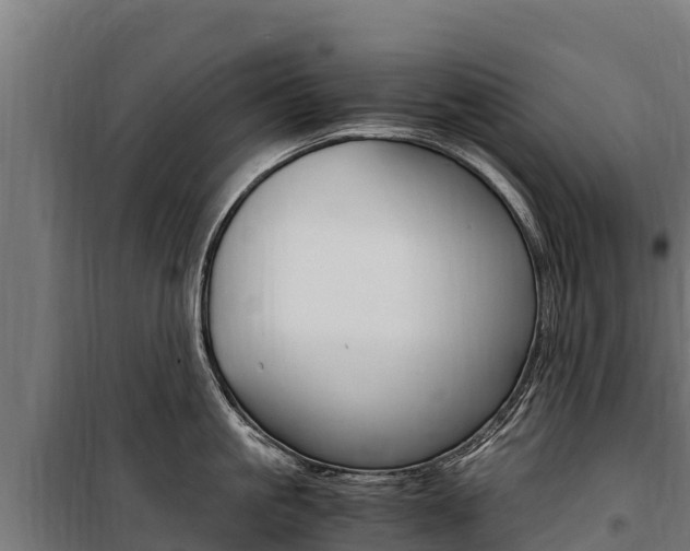 X0000100850861200806200800
