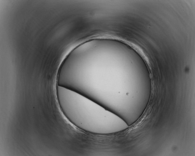 X0000100850863200806200800