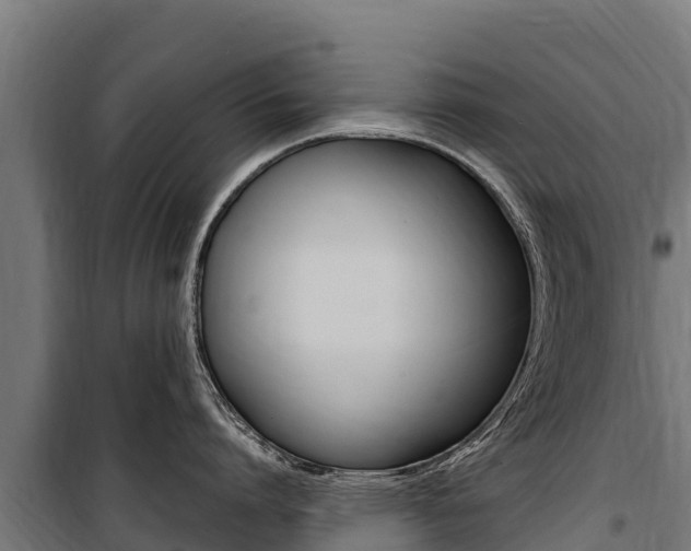 X0000100850864200806200800
