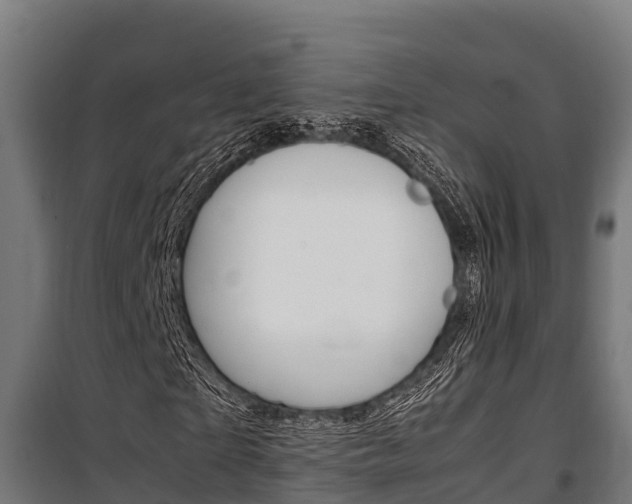 X0000100850865200806200800