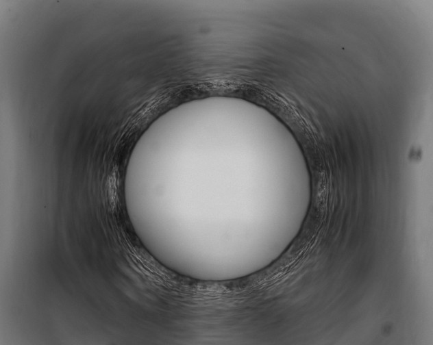 X0000100850866200806200800