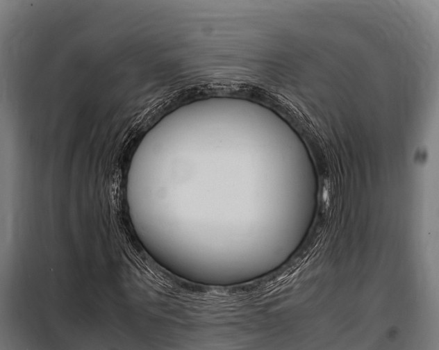 X0000100850867200806200800