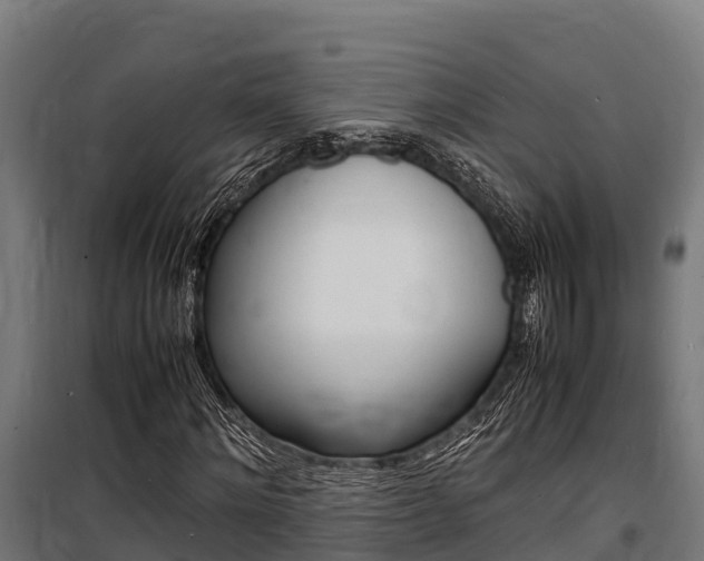 X0000100850868200806200800