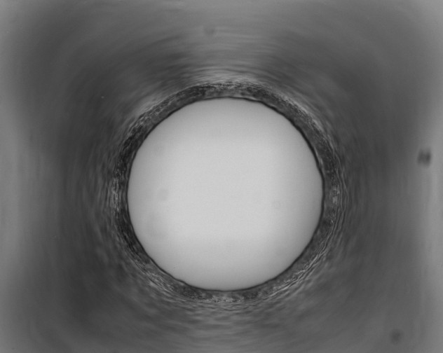 X0000100850869200806200800
