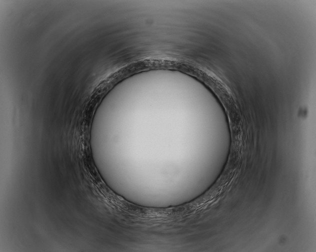 X0000100850870200806200800