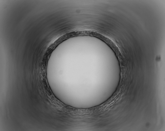 X0000100850871200806200800