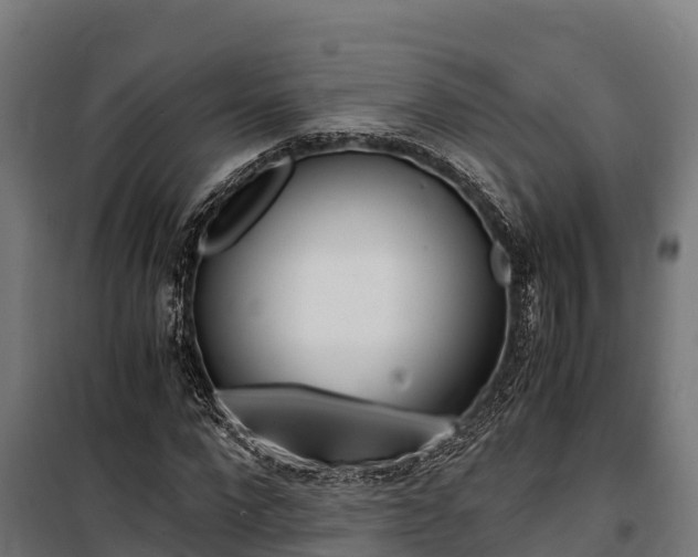 X0000100850872200806200800