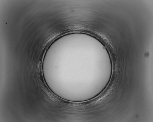 X0000100850873200806200800