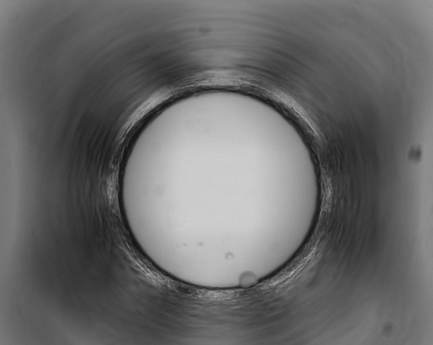 X0000100850874200806200800