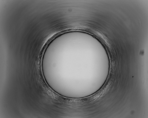 X0000100850875200806200800