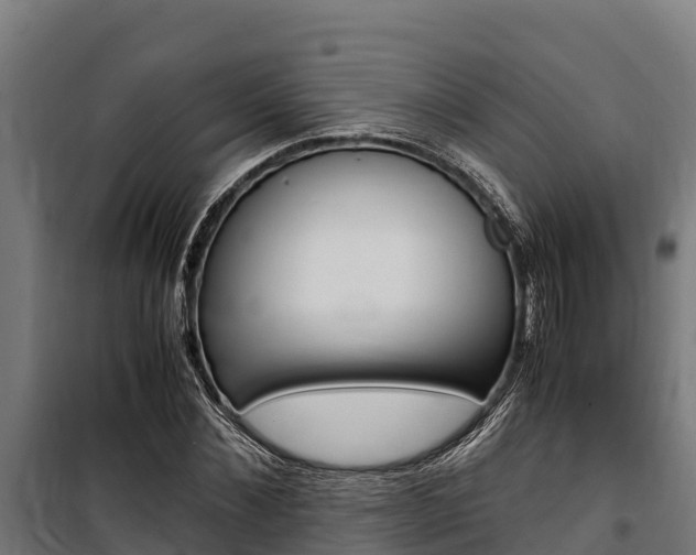 X0000100850876200806200800