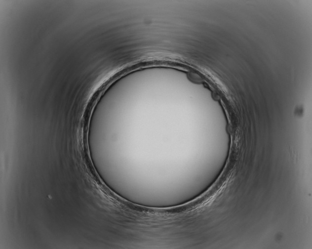 X0000100850877200806200759