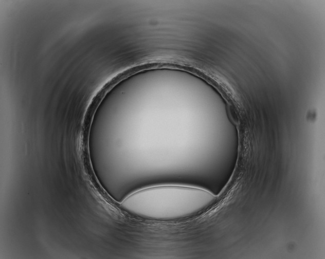 X0000100850880200806200759