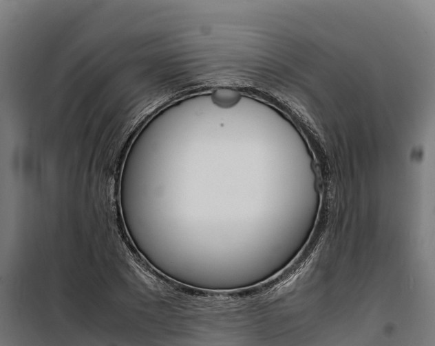 X0000100850881200806200759