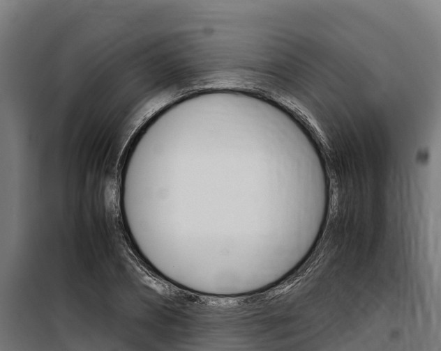 X0000100850882200806200759