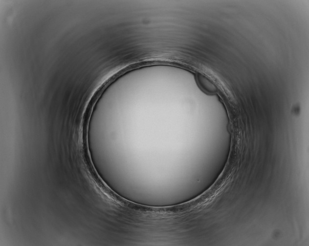X0000100850884200806200759