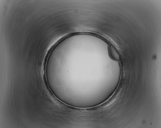 X0000100850885200806200759